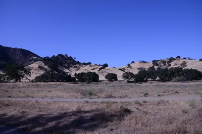 DSC_2060 (Large).JPG